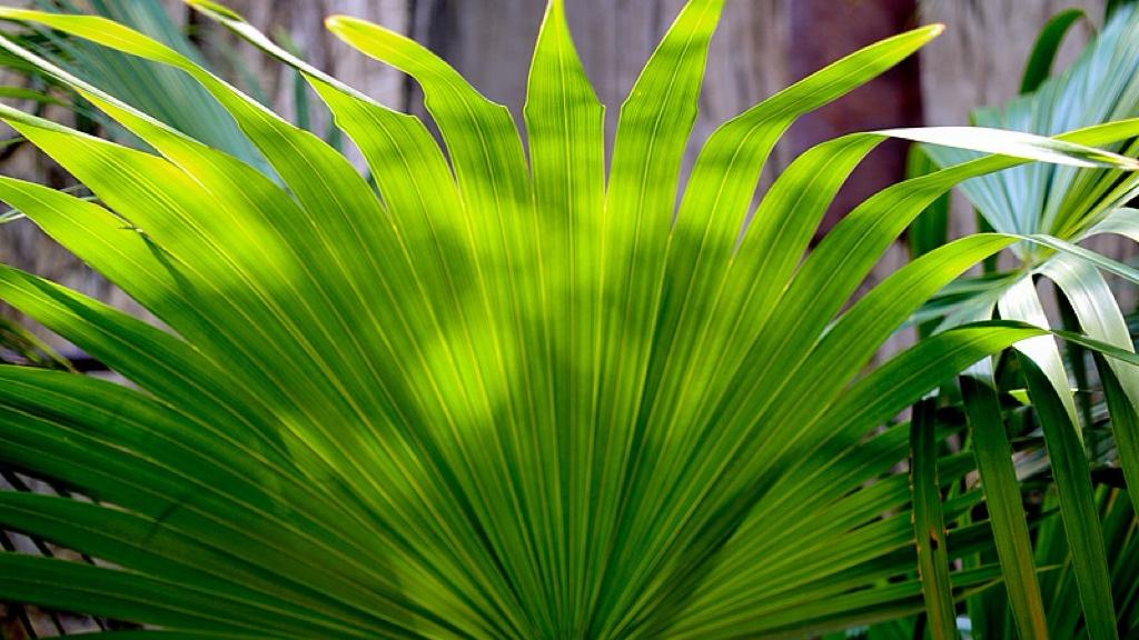 AI不再“猜你想要”，它开始“替你完成”