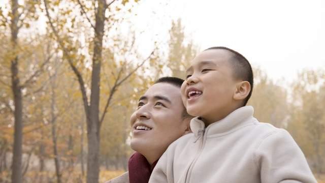 八字背后的人生密码：一场命运与情感的探索