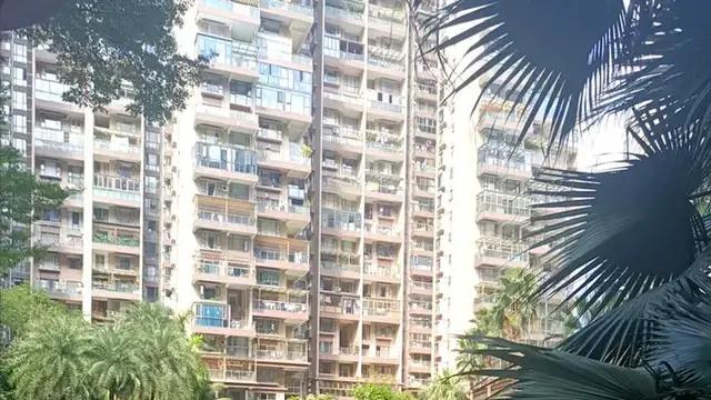 龙岗大运神盘——奥林华府1503A/B双拼房，配套完善，近地铁！