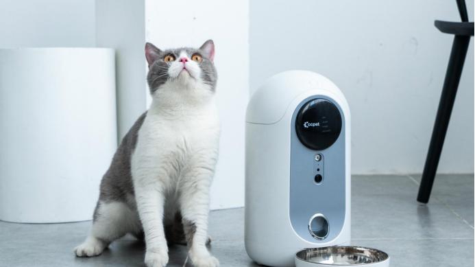 AI养宠潮，千元“智商税”与难以衡量的情绪价值