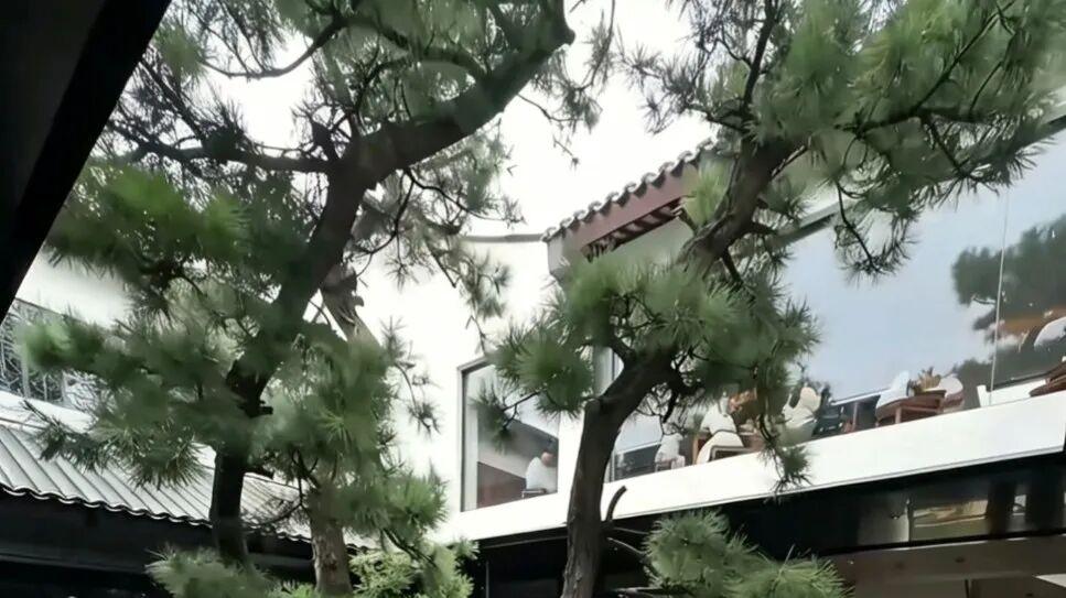 纯阳男孤独  纯阴女困穷