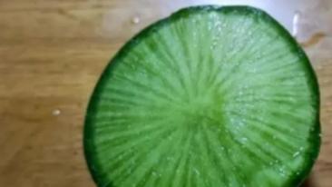 潍坊萝卜：藏在潍州大地的 “水果萝卜” 传奇