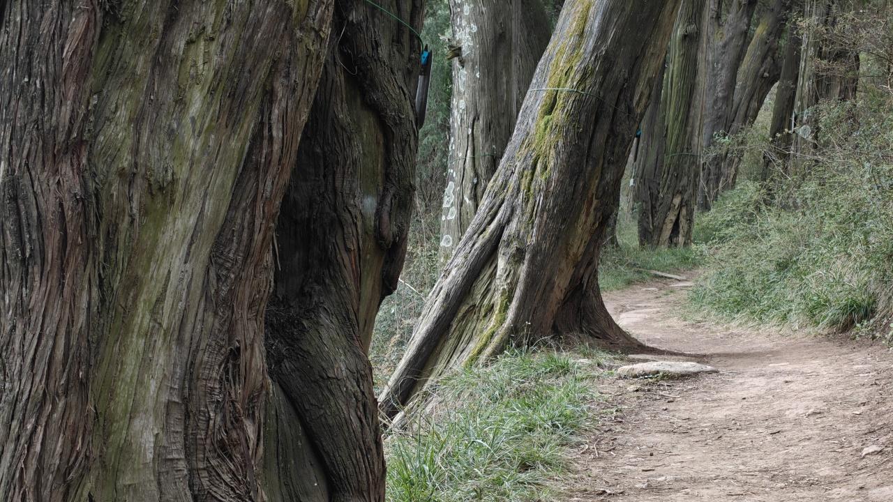 一个行走者怎么看世界