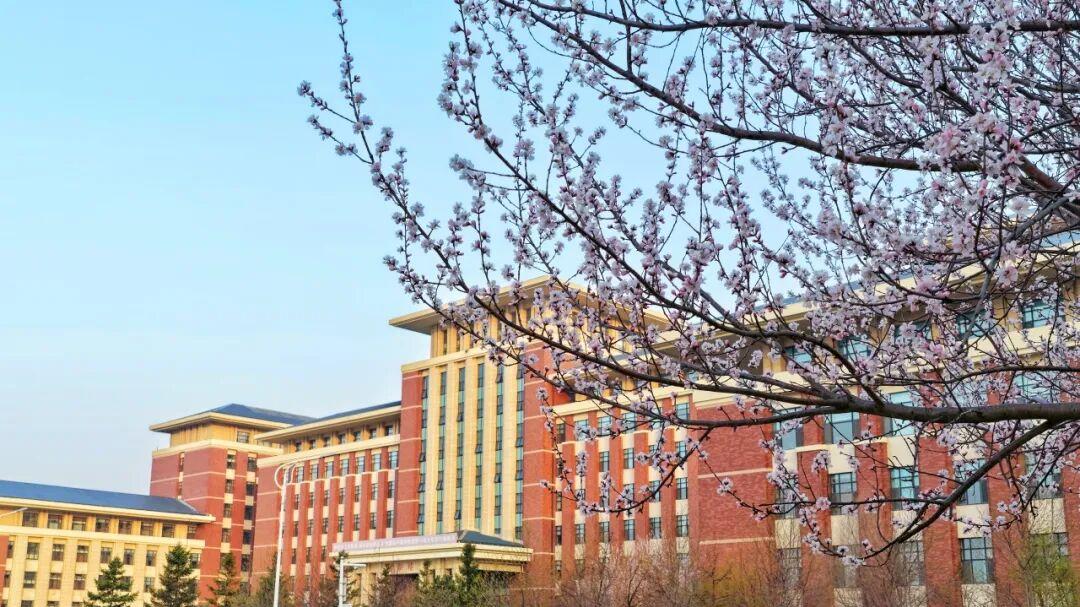 吉林大学怎么样？2026年报考窗口期：这所985的硬核实力被低估了