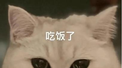 哪款猫罐头好？2026年十大最好吃的猫罐头排行榜出炉猜猜谁是top1