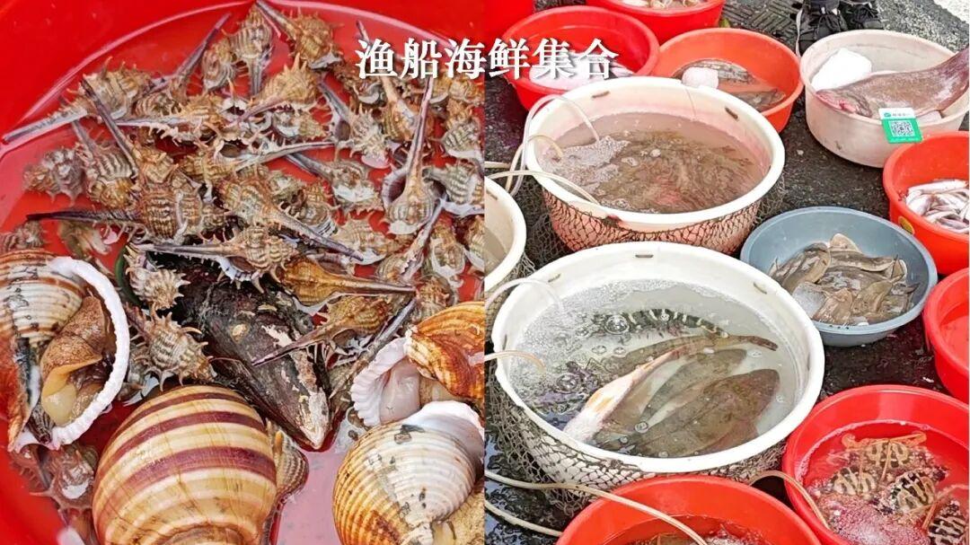 元旦，一条海船的渔获，广州莲花山码头