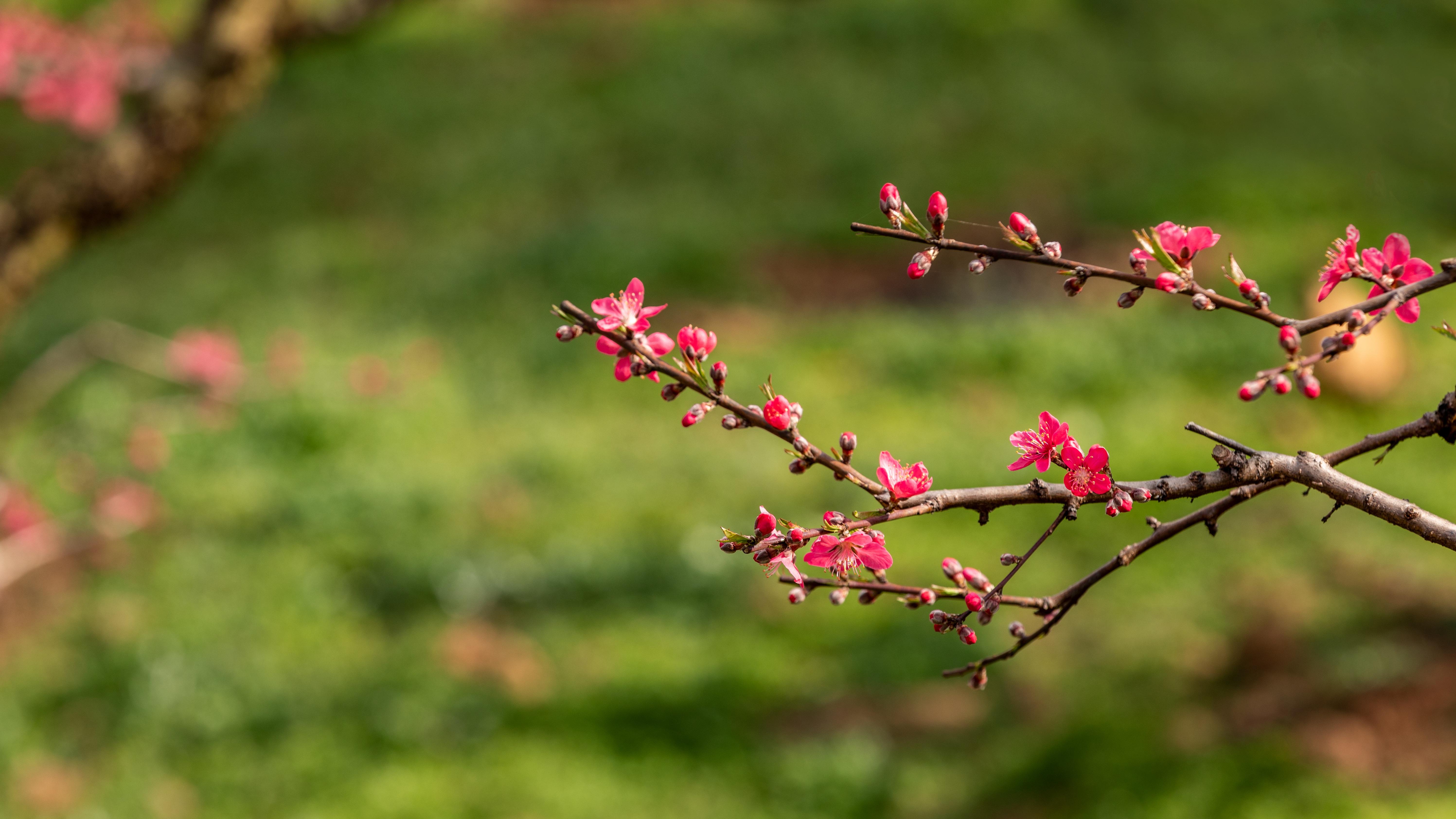 资本市场的身份转变：从输血管到成长引擎