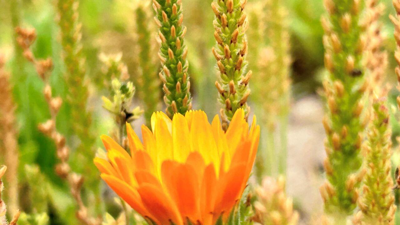 提醒中年女人，离婚不离家的3种后果，别忽视了