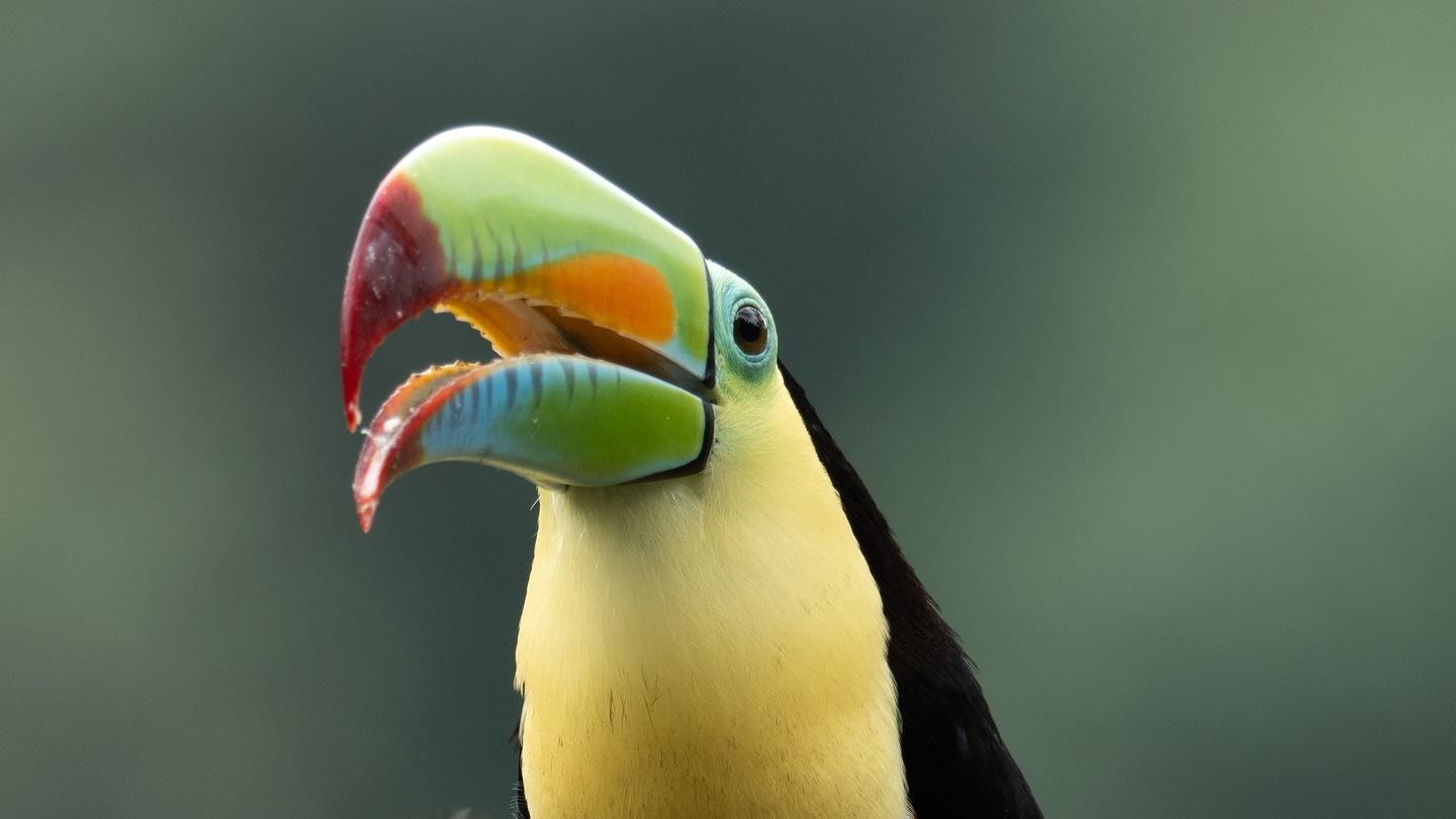 佛陀在教授正念时，不断重复的那句话