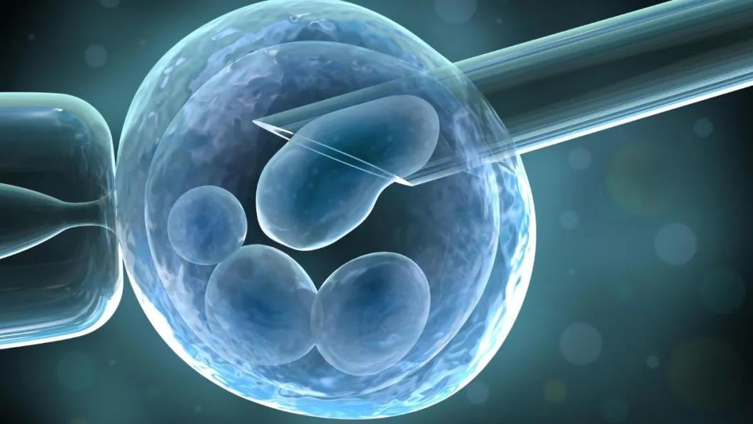 荷兰生殖诊所被曝用“超龄精子”、隐瞒监管，还擅自制造海外孩子