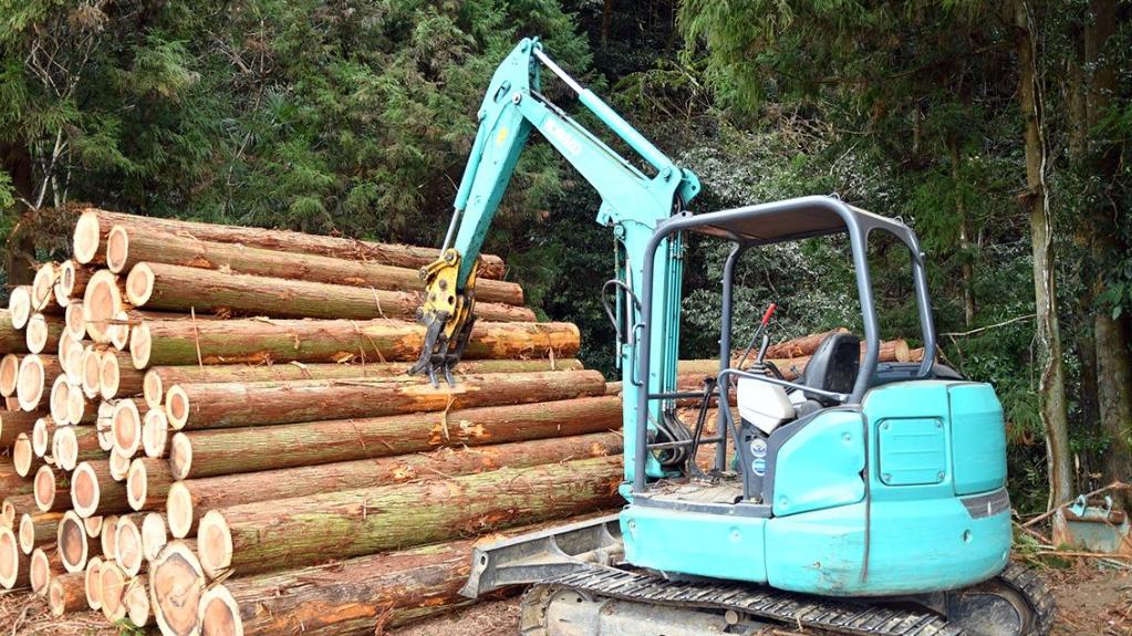 中国每年从日本买走多少木头？数据曝光：已跃居第二大来源国！