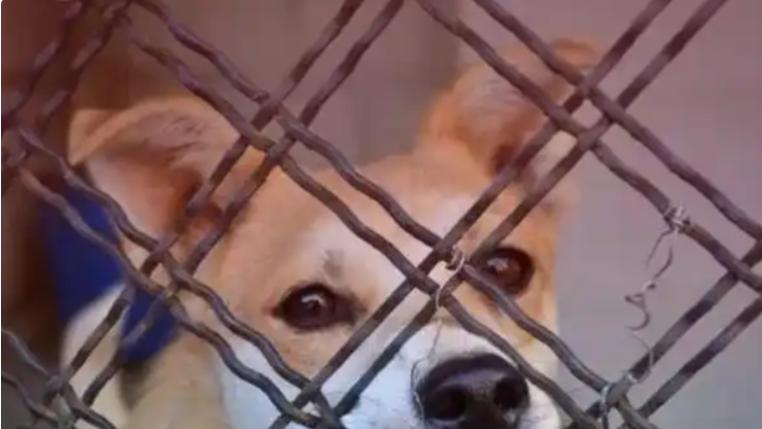 你的“不开心”，原来是你自己“同意”的