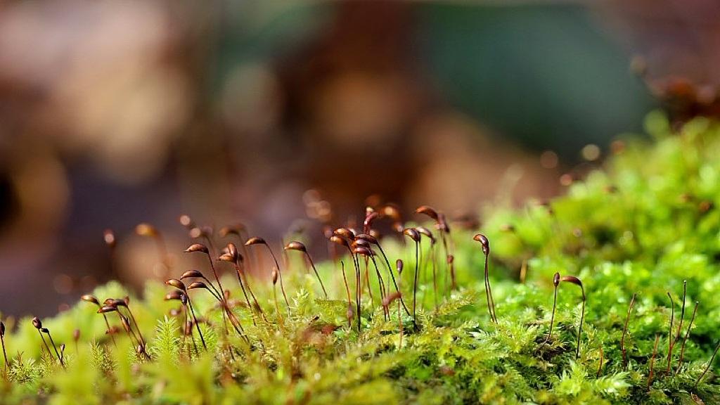 管制40家日企，中国打出了一张什么牌