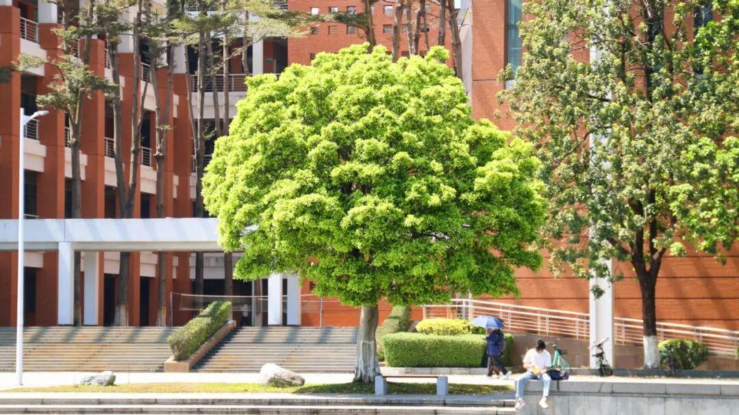 华南理工大学就业好不好？——46.26%深造率背后：从华工到全球顶尖高校的人才输送通道