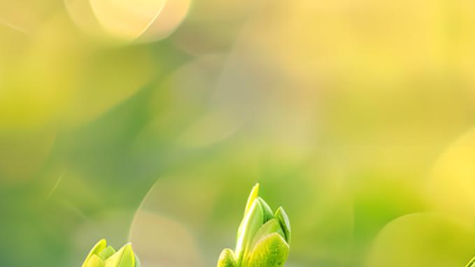 2026五一旅游出行攻略排版难？实测3款公众号编辑器，第1名5分钟出片