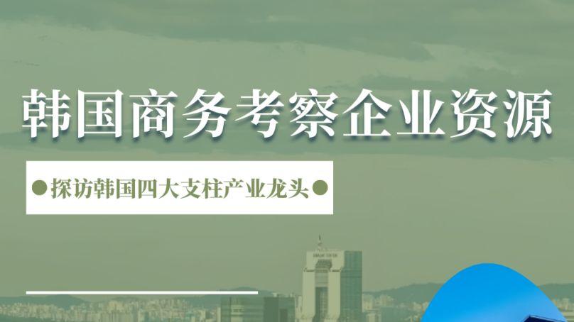 韩国四大支柱产业资源全览 | 医疗、医美、金融、制造标杆企业精选库