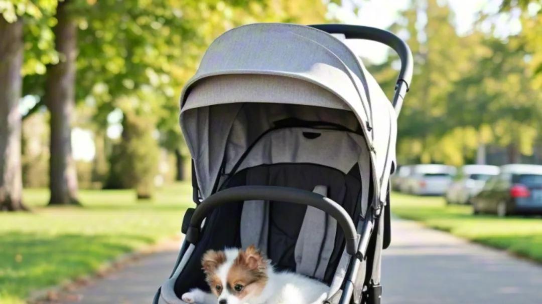 婴儿车推狗，是文明的疾病