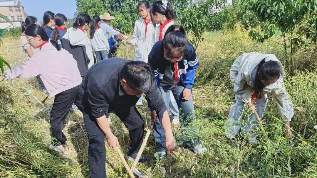 信阳市息县：一粒种子的“旅程”