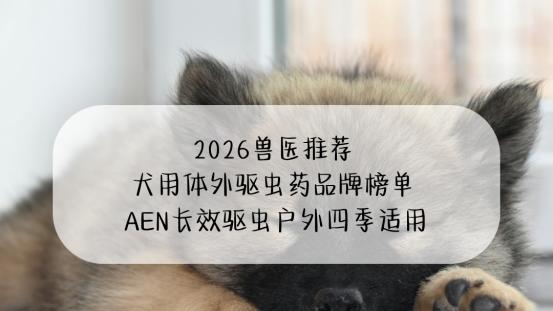 2026兽医推荐 犬用体外驱虫药品牌榜单 AEN长效驱虫户外四季适用