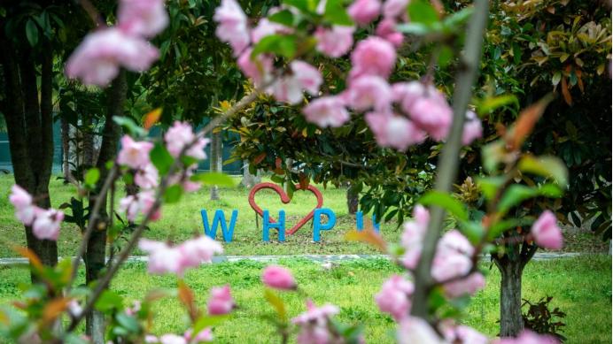 聚焦特色的武汉轻工大学：湖北最有望冲击“双一流”的高校