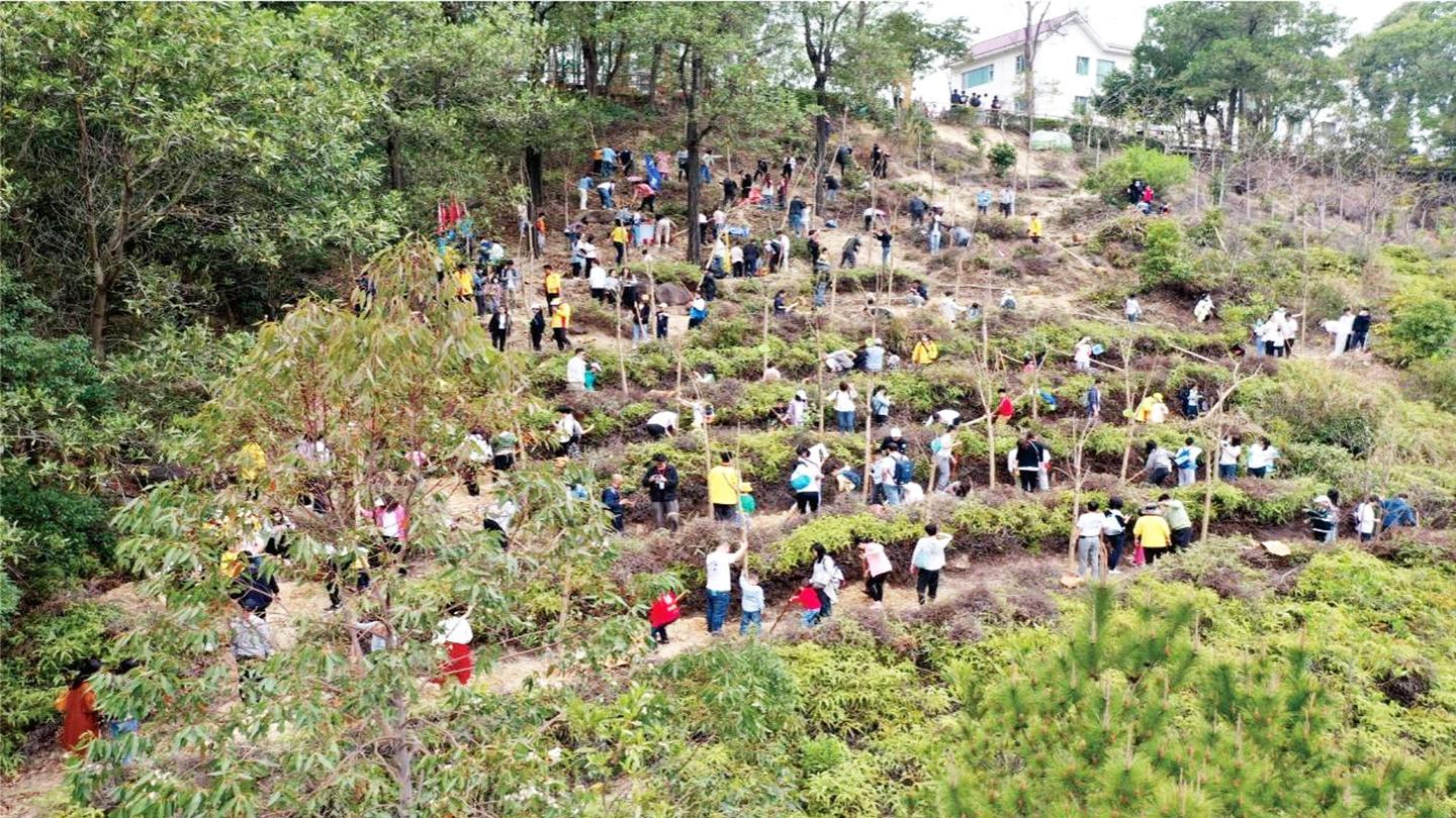 普惠莞民显担当 逆境坚守践初心 —— 东莞观音山以福利暖民心、以勇气破困局