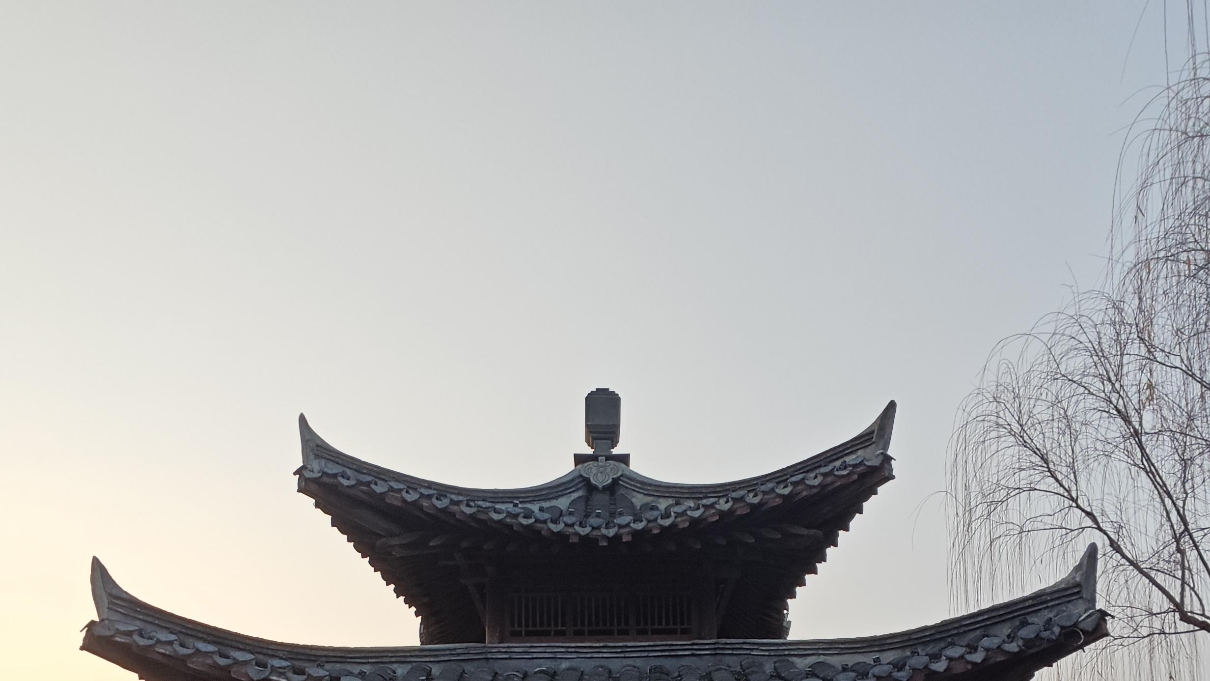 数九隆冬里的春讯儿