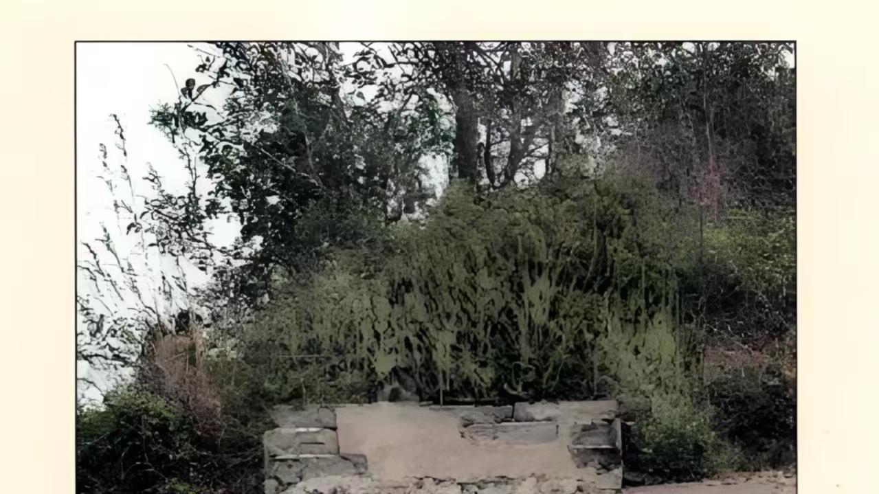 革命烈士张人亚，让父亲张爵谦一生都在保管的东西，到底是什么