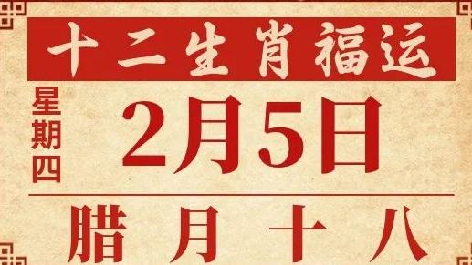 善韵缘|2026年2月5日十二生肖运势概况