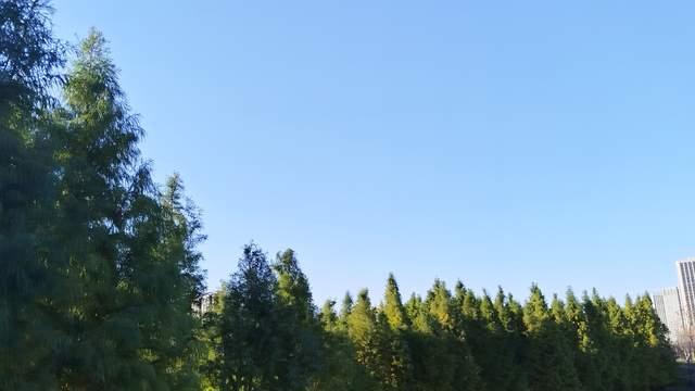 别过度尊重纵容孩子：边界感缺失，会养出自私叛逆难管的青春期娃