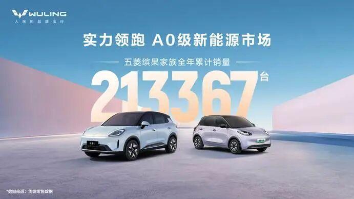 缤纷作答，热爱加冕！缤果家族2025狂销213367辆，解锁代步新图景