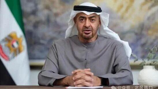 阿联酋准备参战，用武力强行重开霍尔木兹海峡