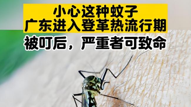 灭蚊子神器哪个最好用？灭蚊灯选什么样的好用点？希亦/志高等10款灭蚊灯测评出炉，看完这篇少踩90%坑