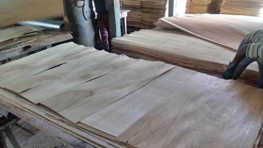 这地木材出口“开挂”了！暴涨106%，欧美市场抢货太“疯狂”！