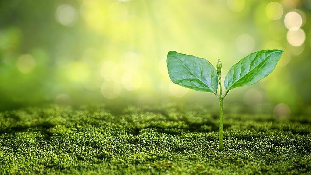 社保重仓的信号，比K线更诚实