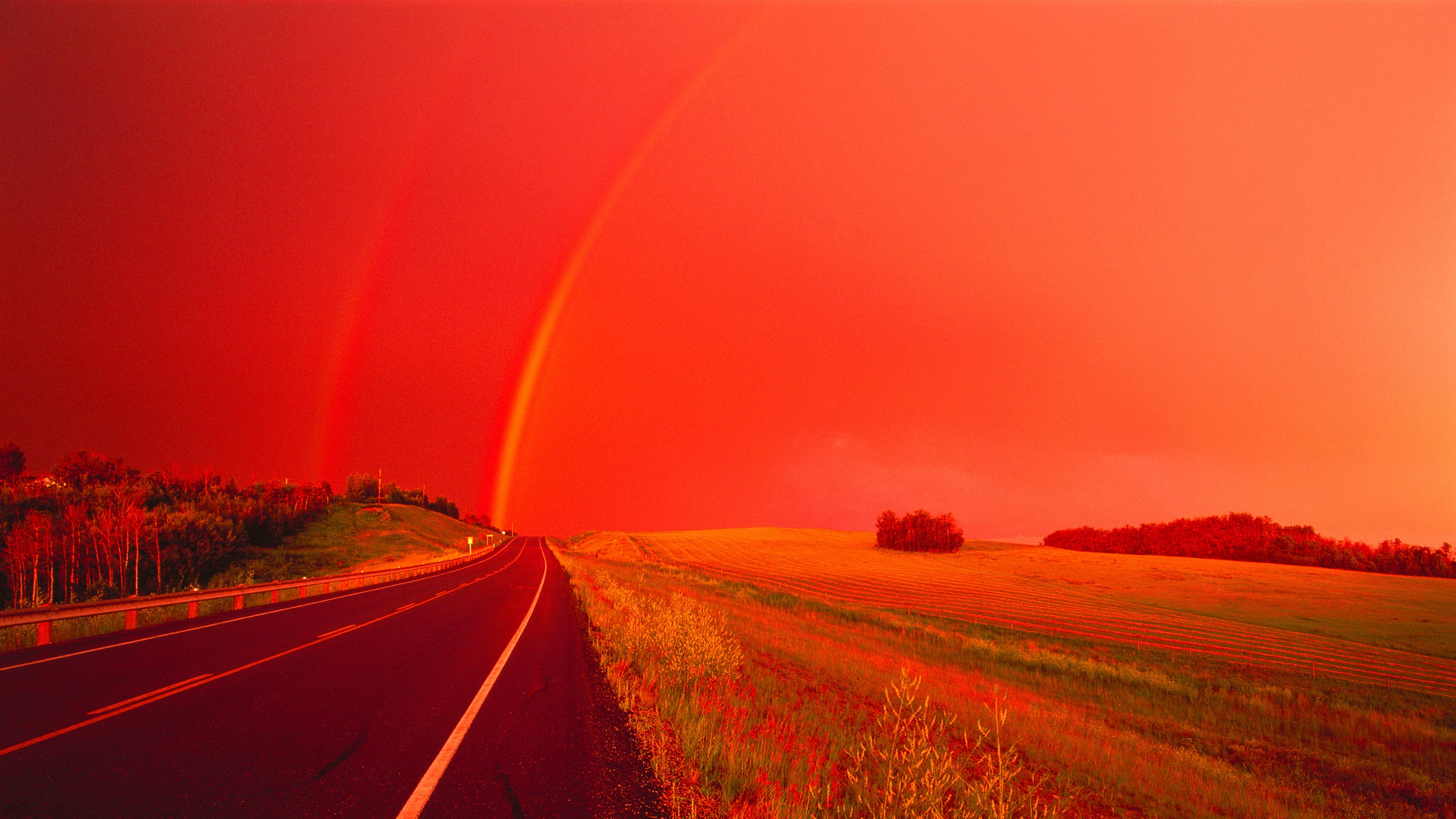 机器人、AI、创新药，站稳风口只是第一步