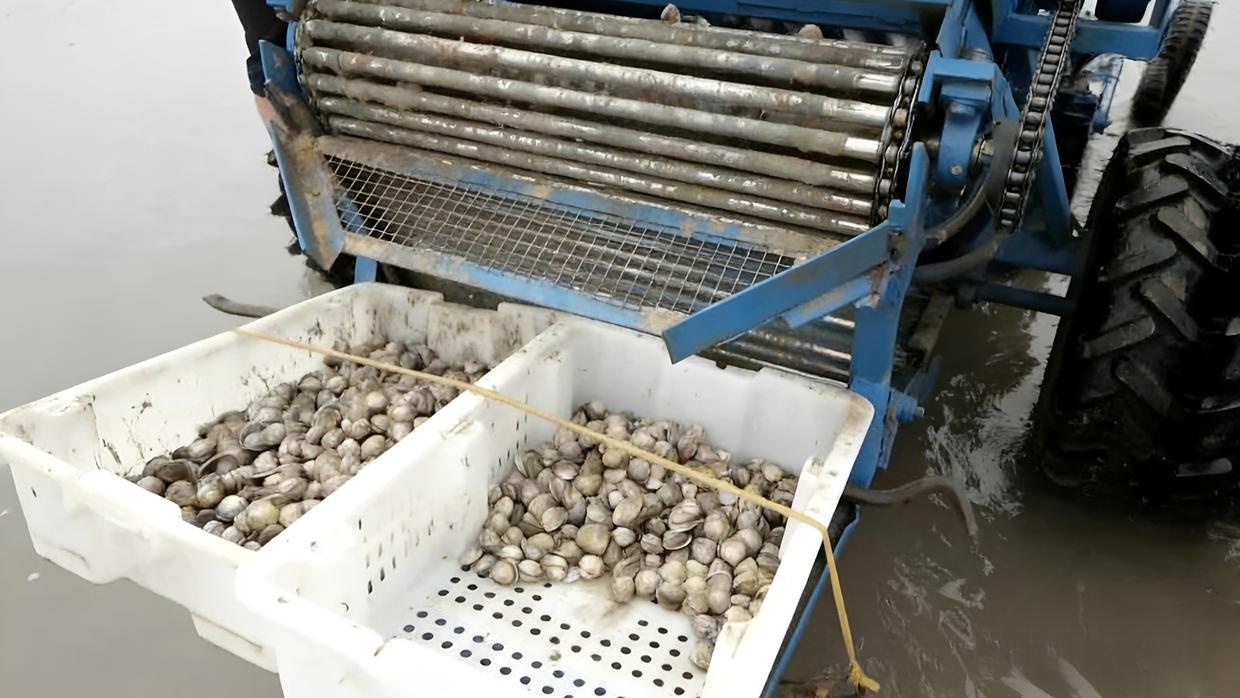 2021年，辽宁一男子发明了一款滩涂采贝机，一天采贝量高达上千斤
