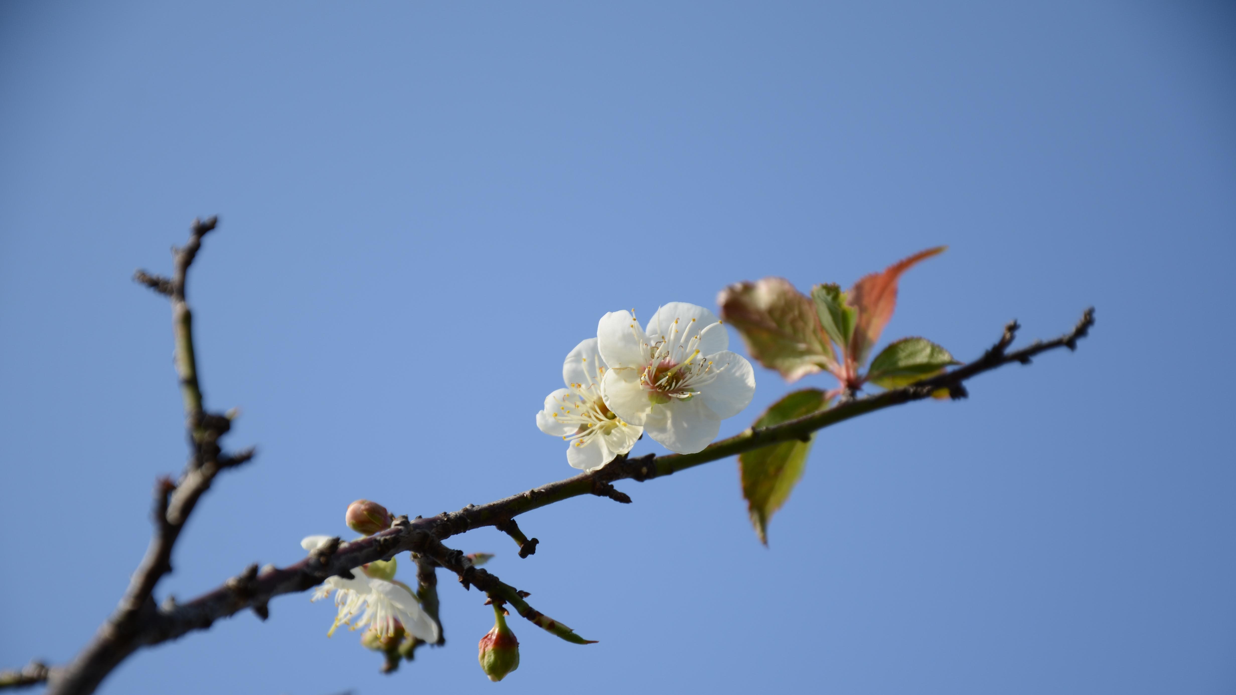 一纸户籍，为什么还能困住2.5亿人？