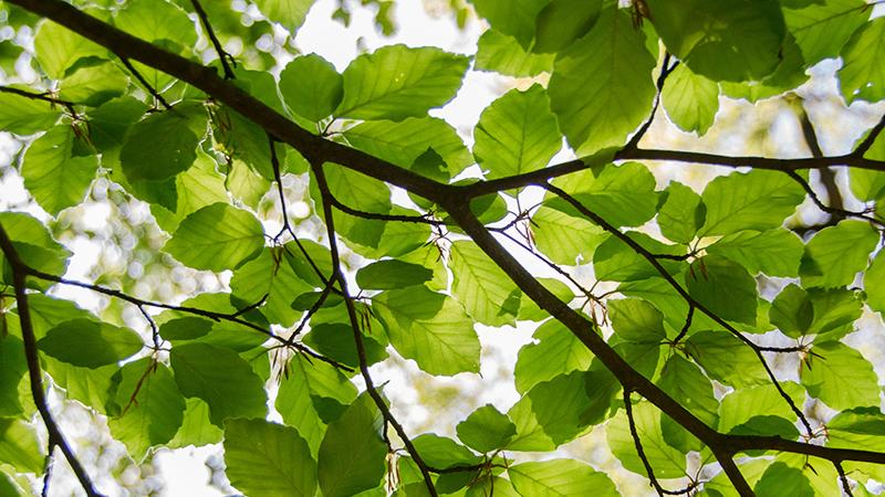 人生：没有完美，只有完满