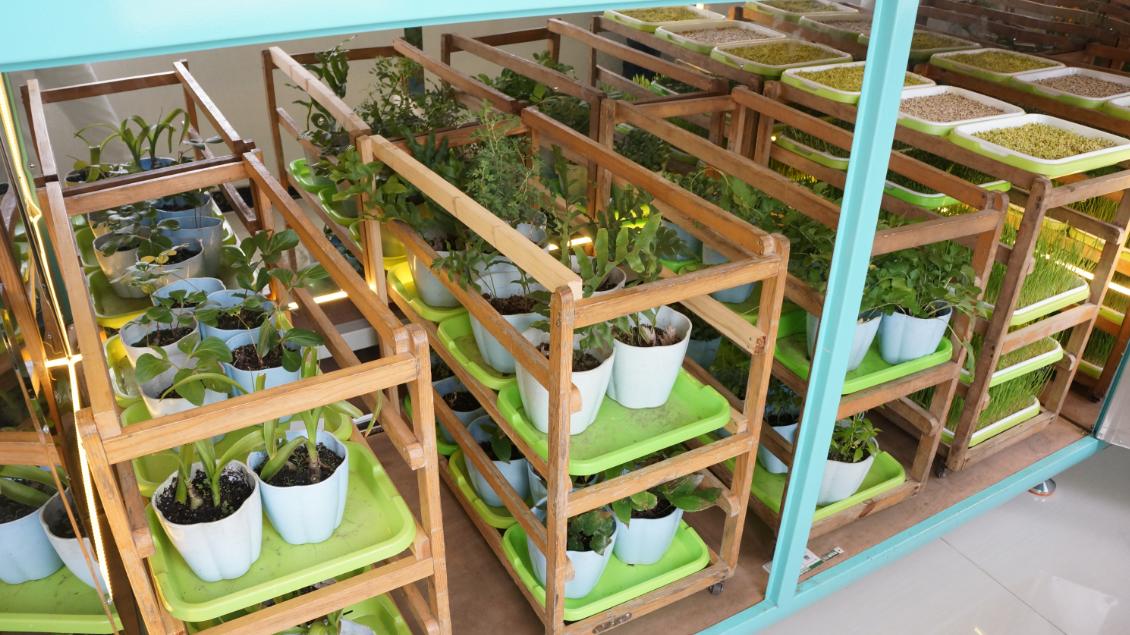 你与家之间，隔着一个看不见的“生物场”