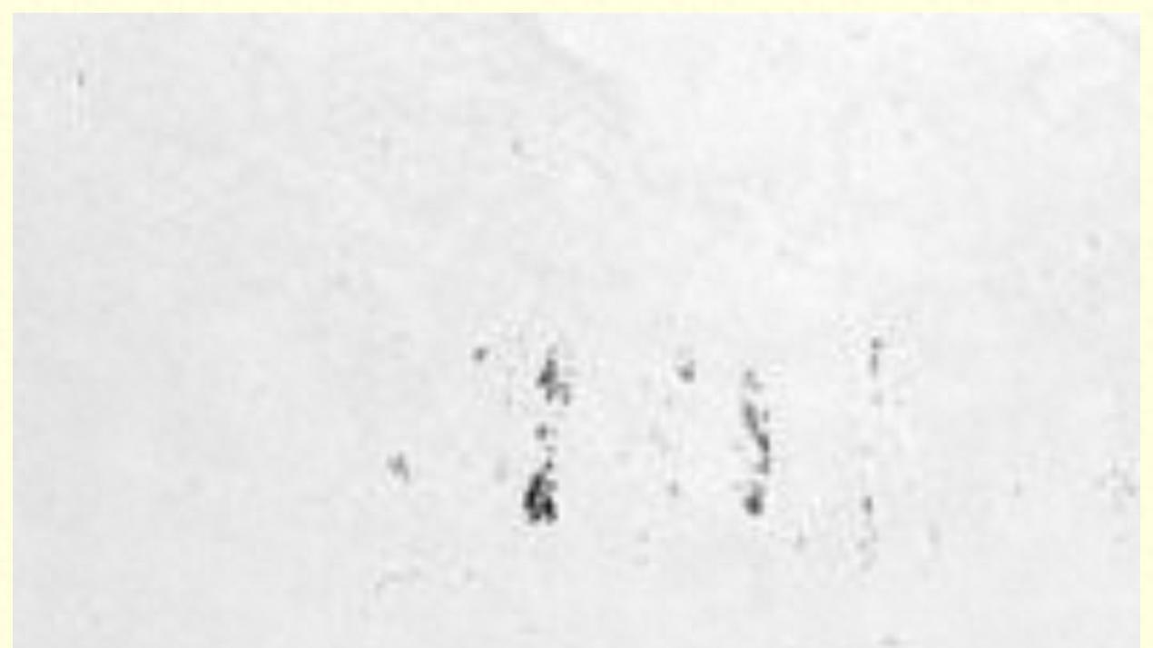 只会抄袭作弊，差点状元及第