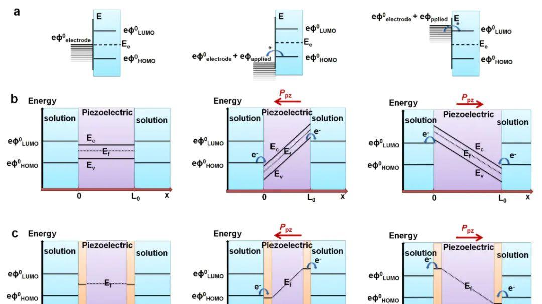 电化学：压电效应在HER、OER及CO₂还原中的催化应用