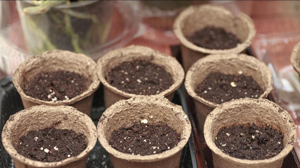 再生农法种植的食材，营养优势究竟在哪？