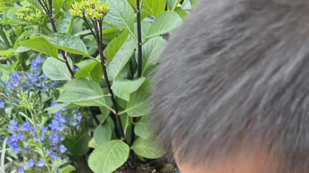 悦享春日 伴读绘趣 信阳市百花幼儿园小班组悦读月系列活动