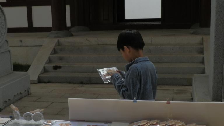 活化岭南古村落！湛江科技学院科创团队解锁乡村振兴新模式