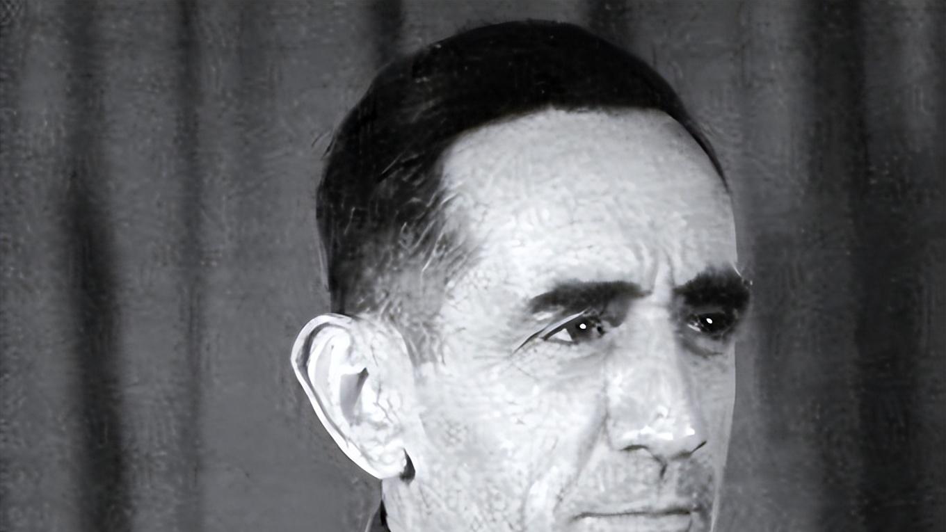 二战西班牙志愿者蓝色师历史