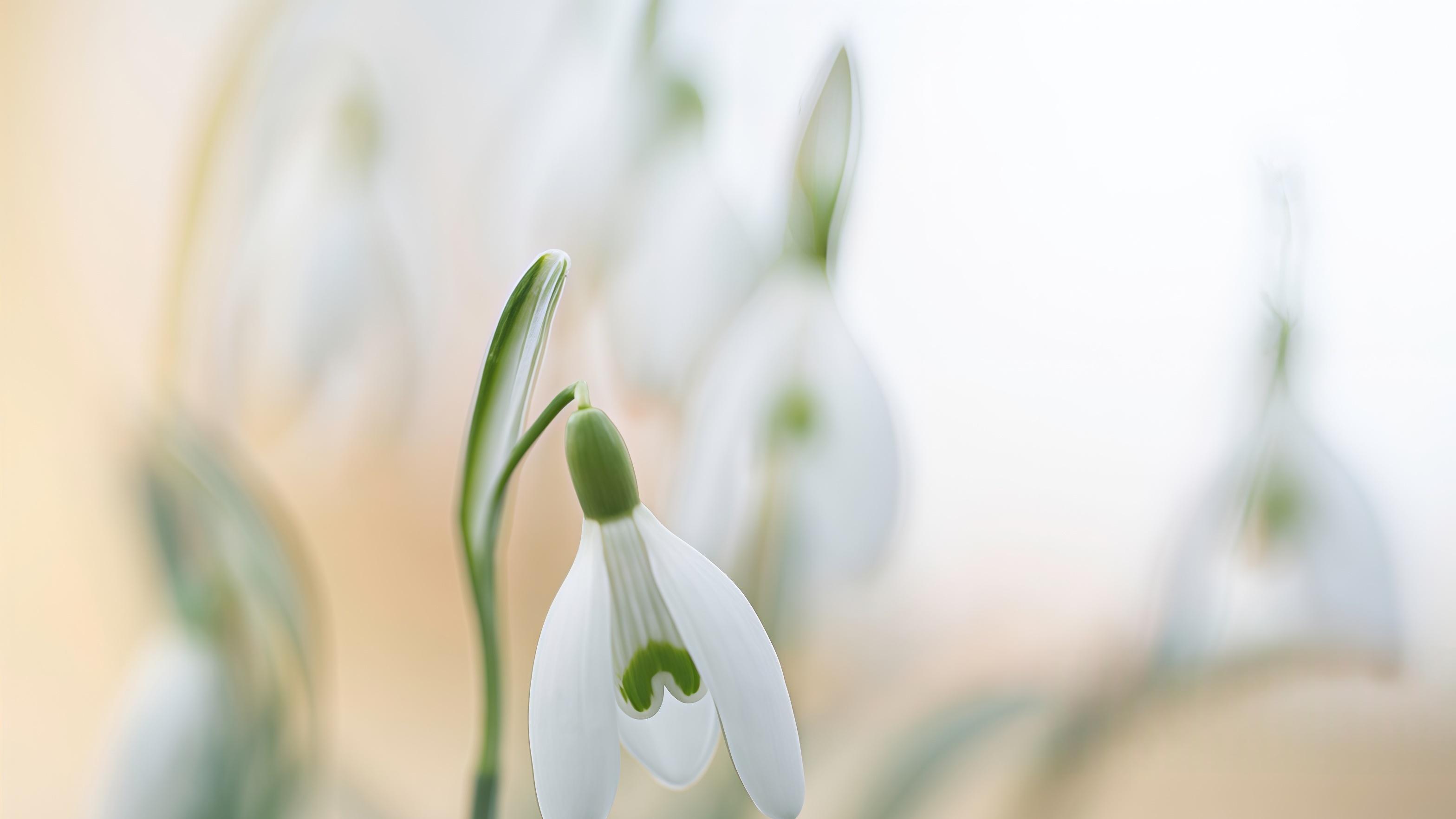 牛市越热，流动性越“失真”？