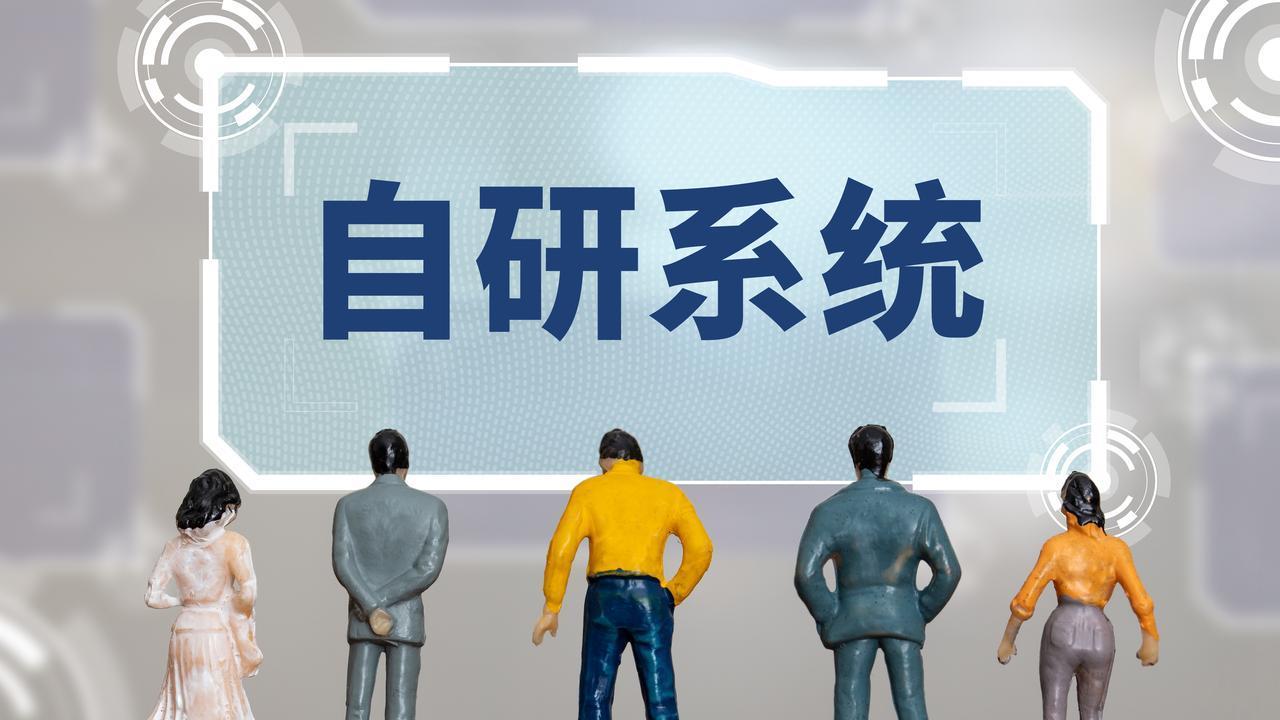 有甲方公司竟开始用AI“自研”软件了，乙方公司该何去何从？