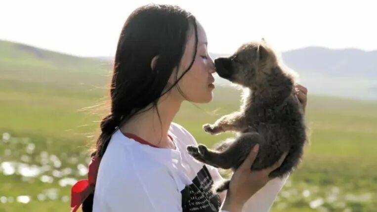 万万没想到！十年前救下的小狼，它的故事还没完…