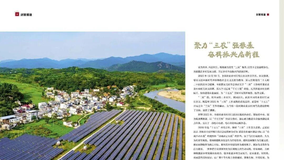 聚力“三农”强根基 奋楫振兴启新程