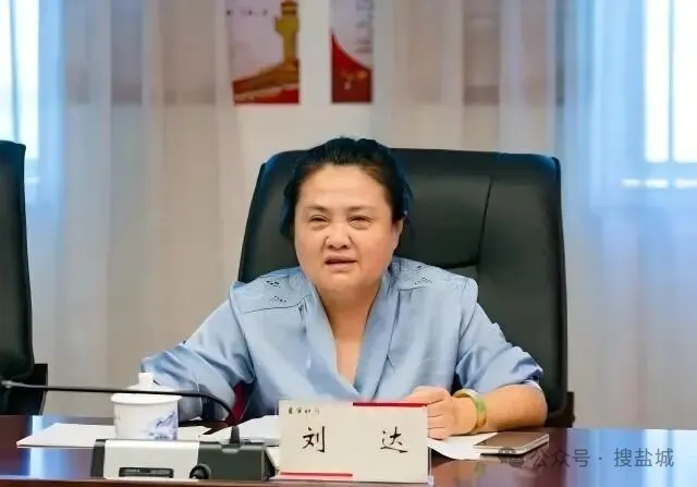 审计“铁娘子”刘达落马：当“经济卫士”成为“案中人”